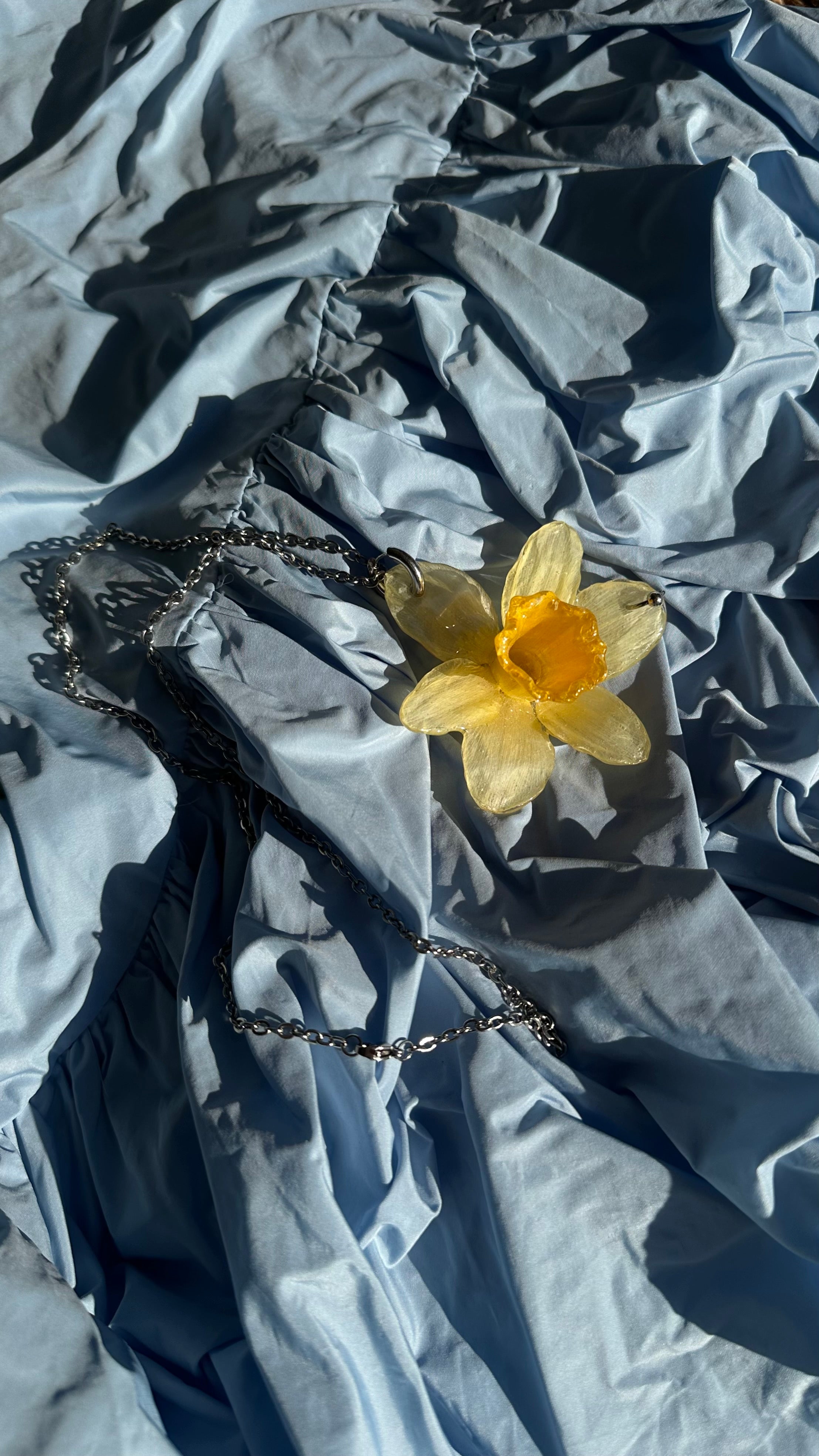 NARCISSUS