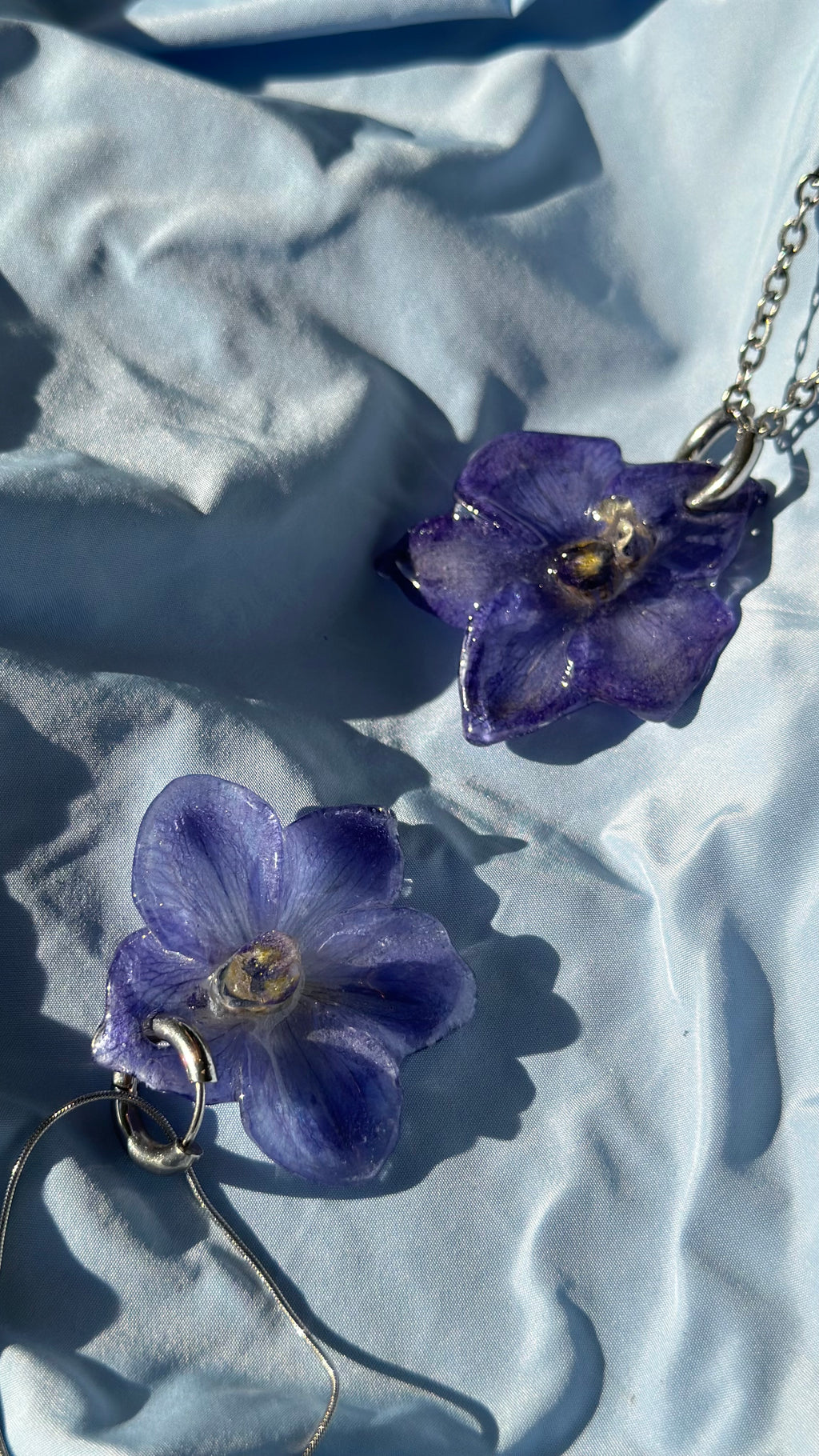 DELPHINIUM