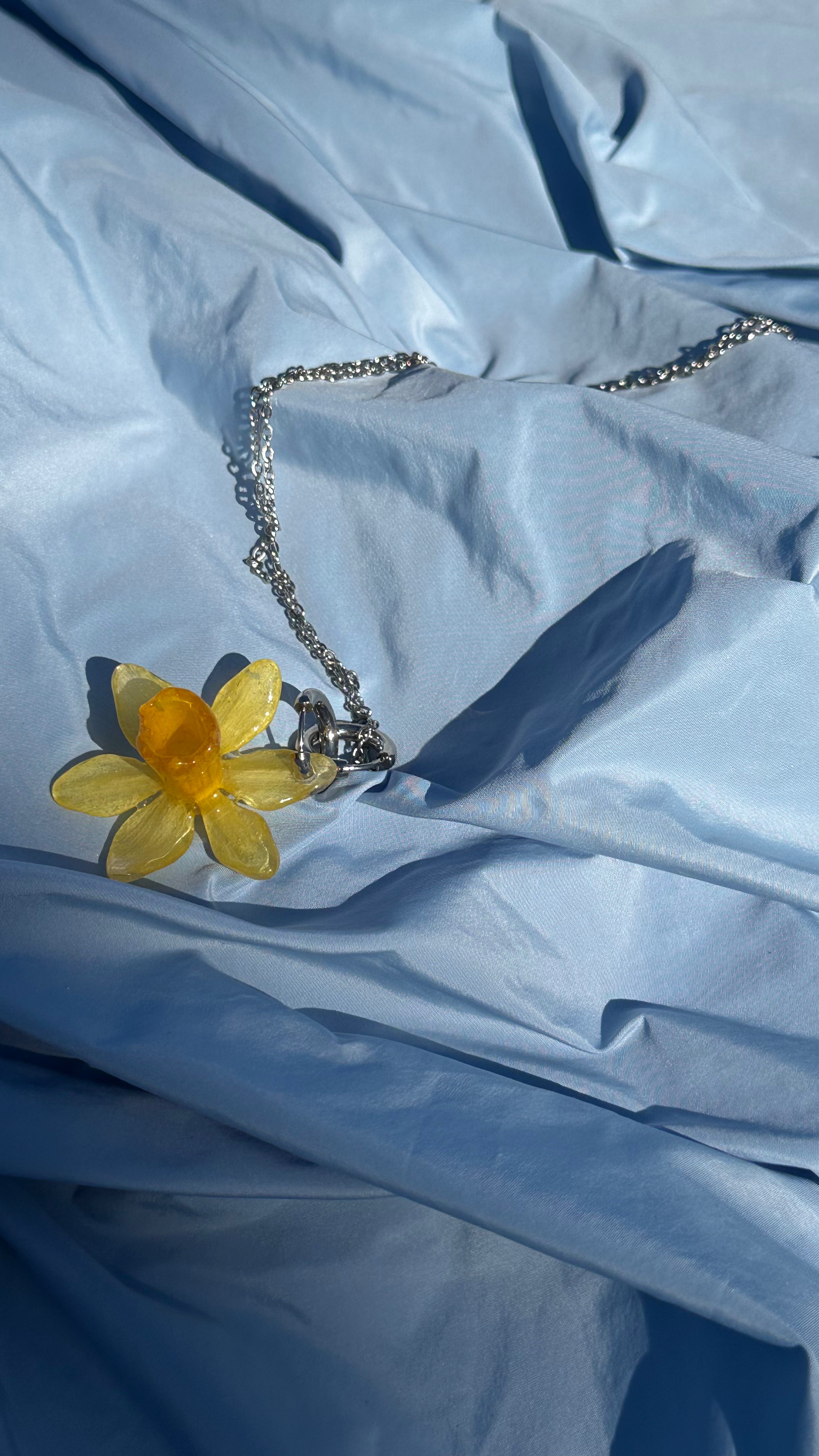 NARCISSUS MINI