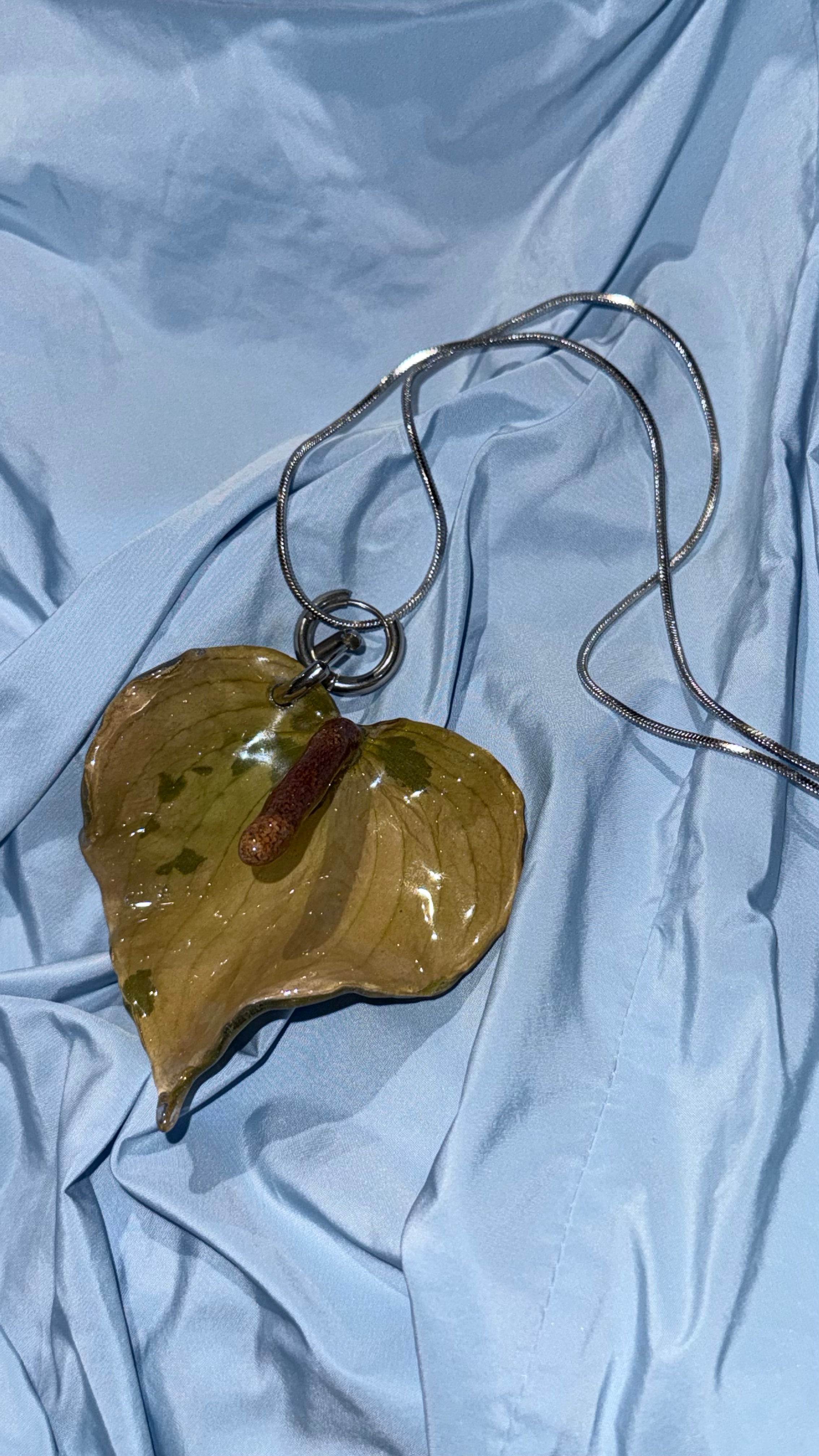 GREEN ANTHURIUM