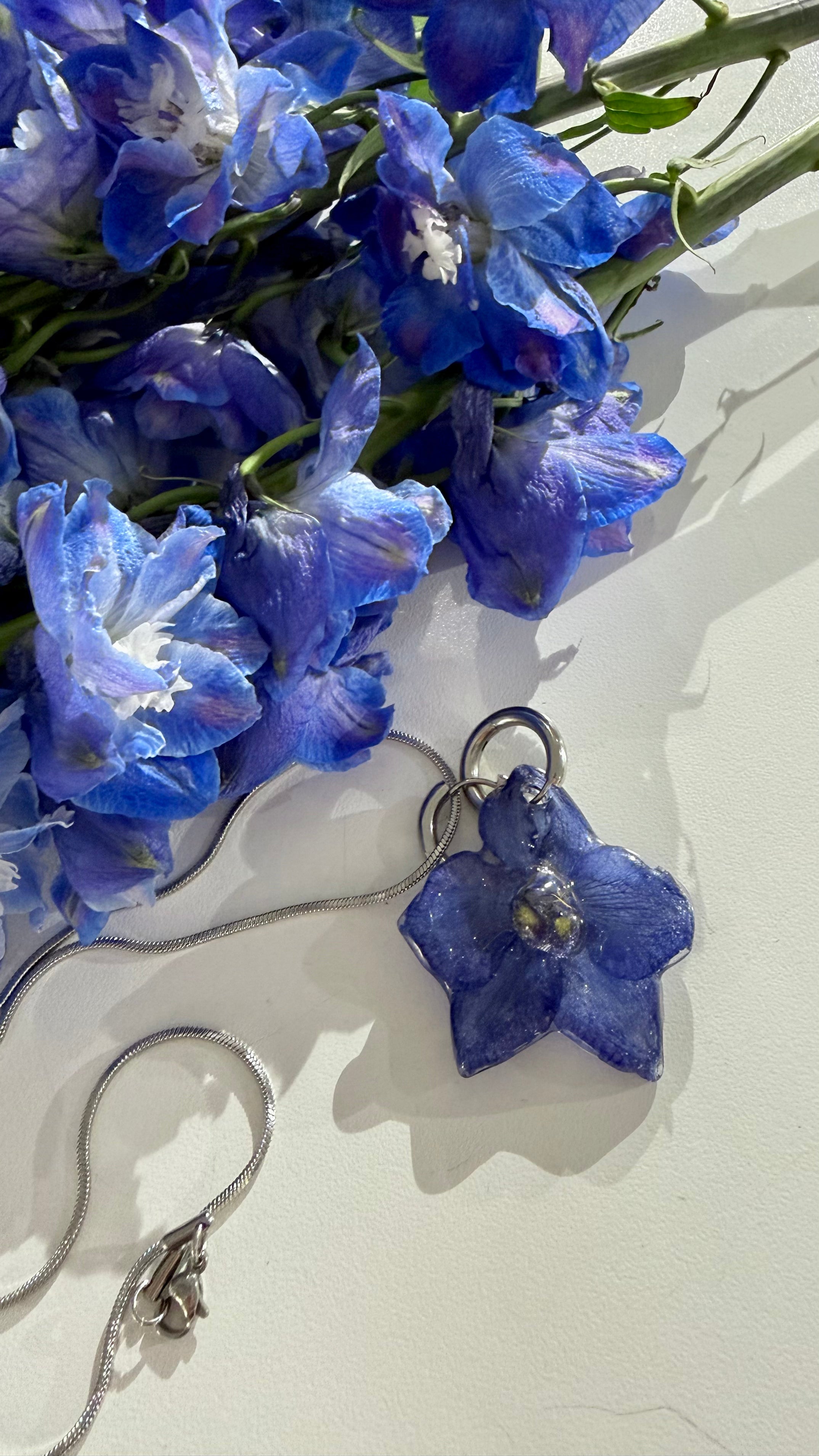 DELPHINIUM